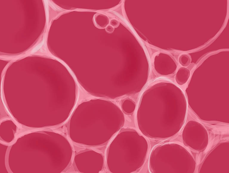 ضد کف (آنتی فوم) چیست؟ | قیمت | MSDS | فروش